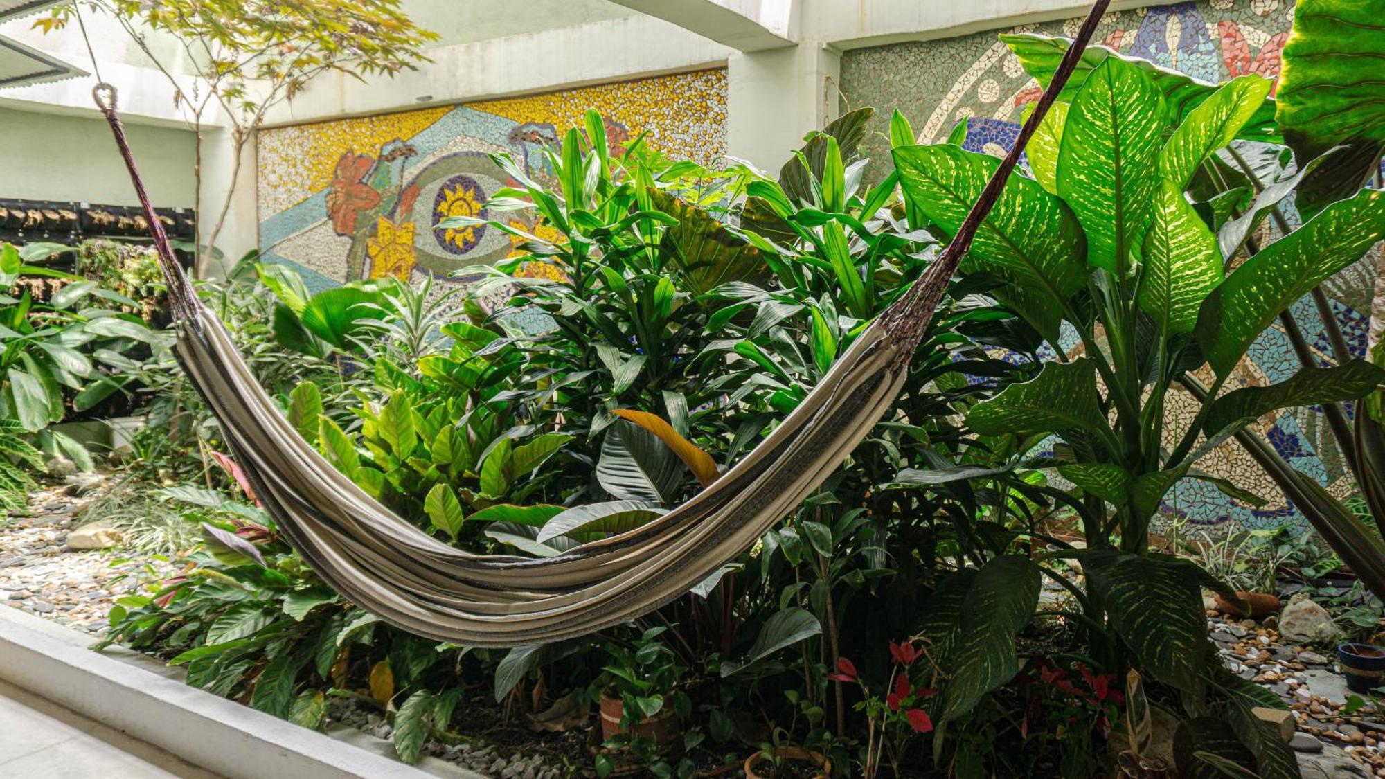 Selva House Bed & Breakfast Medellin Exterior photo